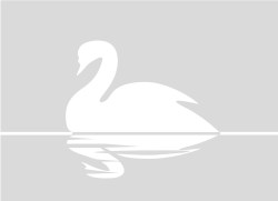 rfd035_v kopie